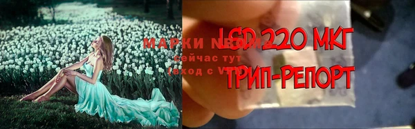 spice Алзамай
