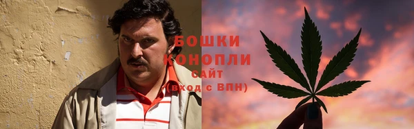 spice Алзамай