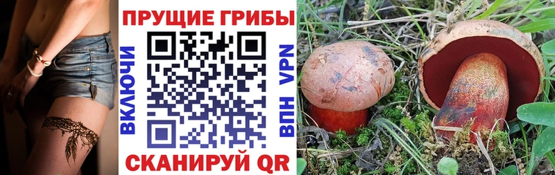 Псилоцибиновые грибы прущие грибы  Звенигово 